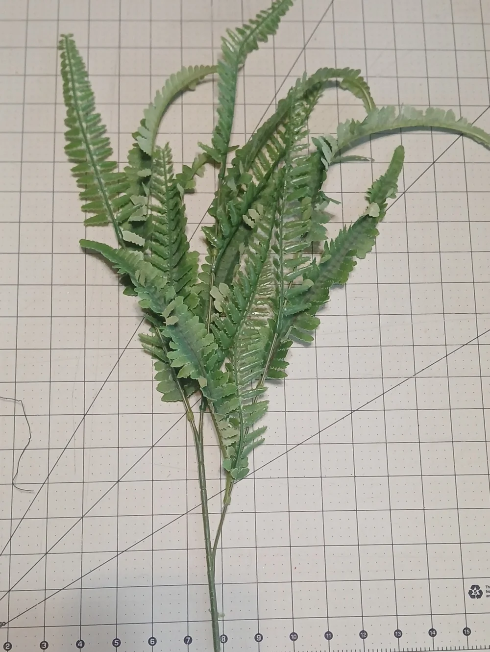 Artificial Fern Stem